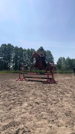 slowmo