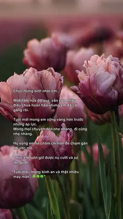 Caption + màu
