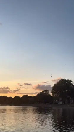 sunsets