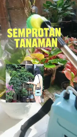 semprotan tanaman