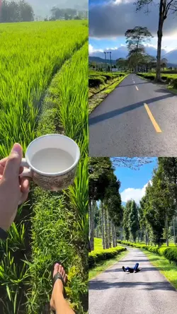 3 video kolase