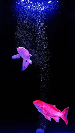The World of Fish