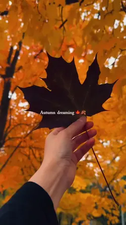 Autumn dreaming