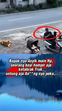 anjing penolong