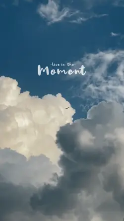 VLOG MOMENT