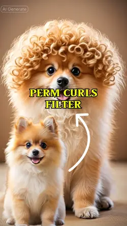 perm curls filter