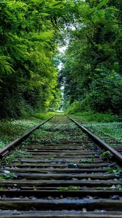 Rare Adventure