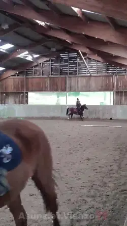 Barbie à cheval