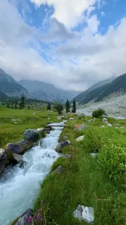 14th august 