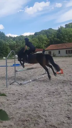 slowmo