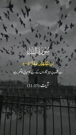 Surah Naba |