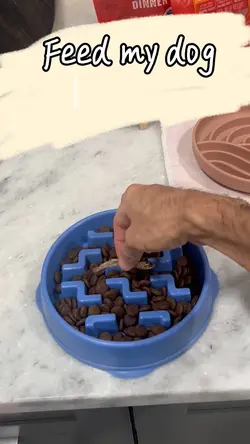 Make my dogs food