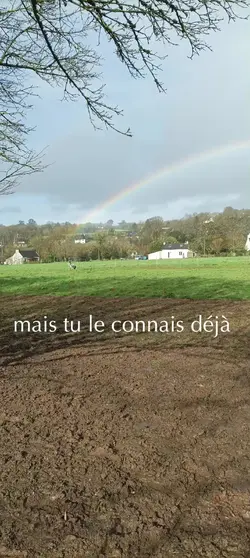 elles sont comme ça 