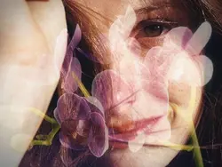 flowers blooming