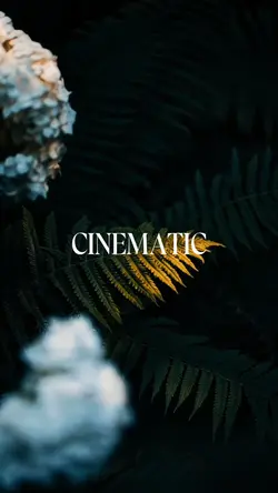 CINEMATIC