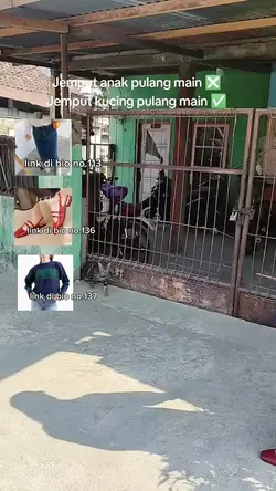 tmplt