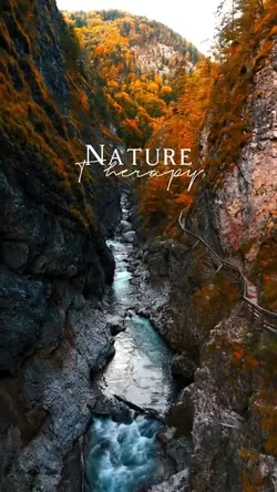 Nature Therapy