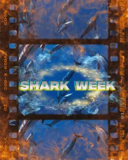 Shark Wee