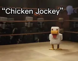 CHICKEN JOCKEYYY