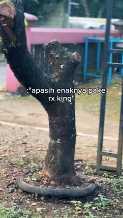 APASIH ENAKNYA RXKIN