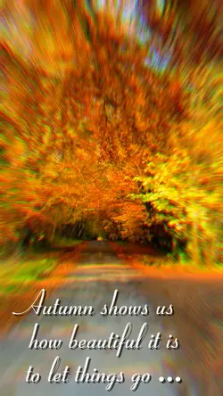 🍂 
