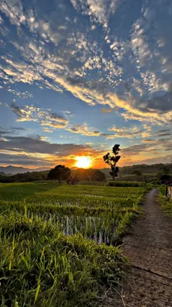 sunset