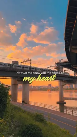Shape of My Heart