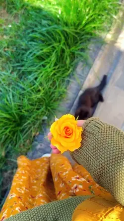 Eskisi gibi değilim 
