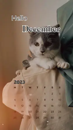 Hello December