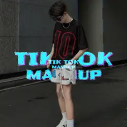 Tiktok Mashup 