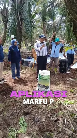 Aplikasi Marfu