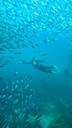 Free diving 