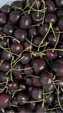 Cherry cherry