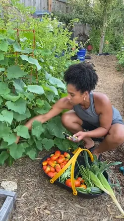 Gardening