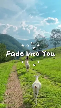 Fade Into You 