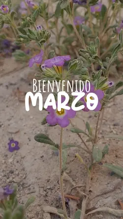 Bienvenido Marzo