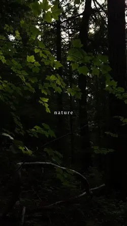 nature