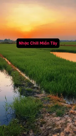 Nhạc Chill Miền Tây