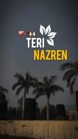 Teri Nazren🎧🥀❤️‍🩹