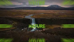 THE BEAUTY OF NATURE