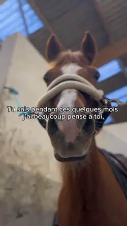 À tout gâché 🙏❤️