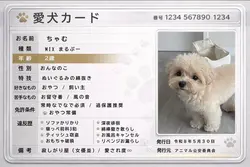 うちの子カード
