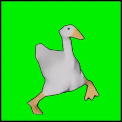 Duck funny dancing 