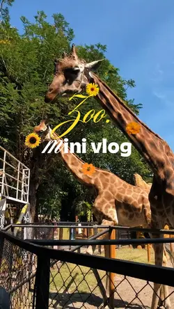 zoo vlog