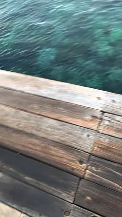 HD 60 FPS