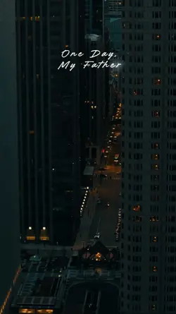 THE NIGHTS