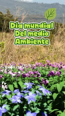 Medio ambiente 