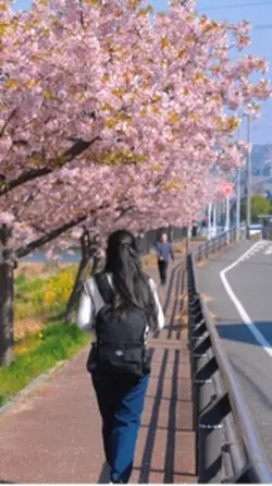 563 - morning walk