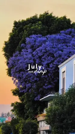 July dump 2025