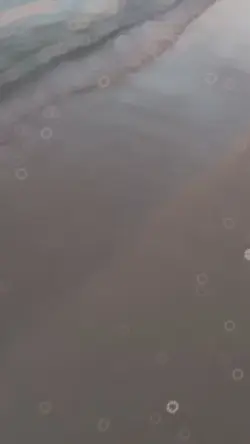 Yeni şablon 